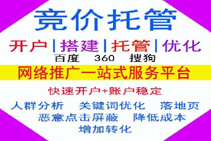 SEM托管优化案例：助力企业品牌形象塑造